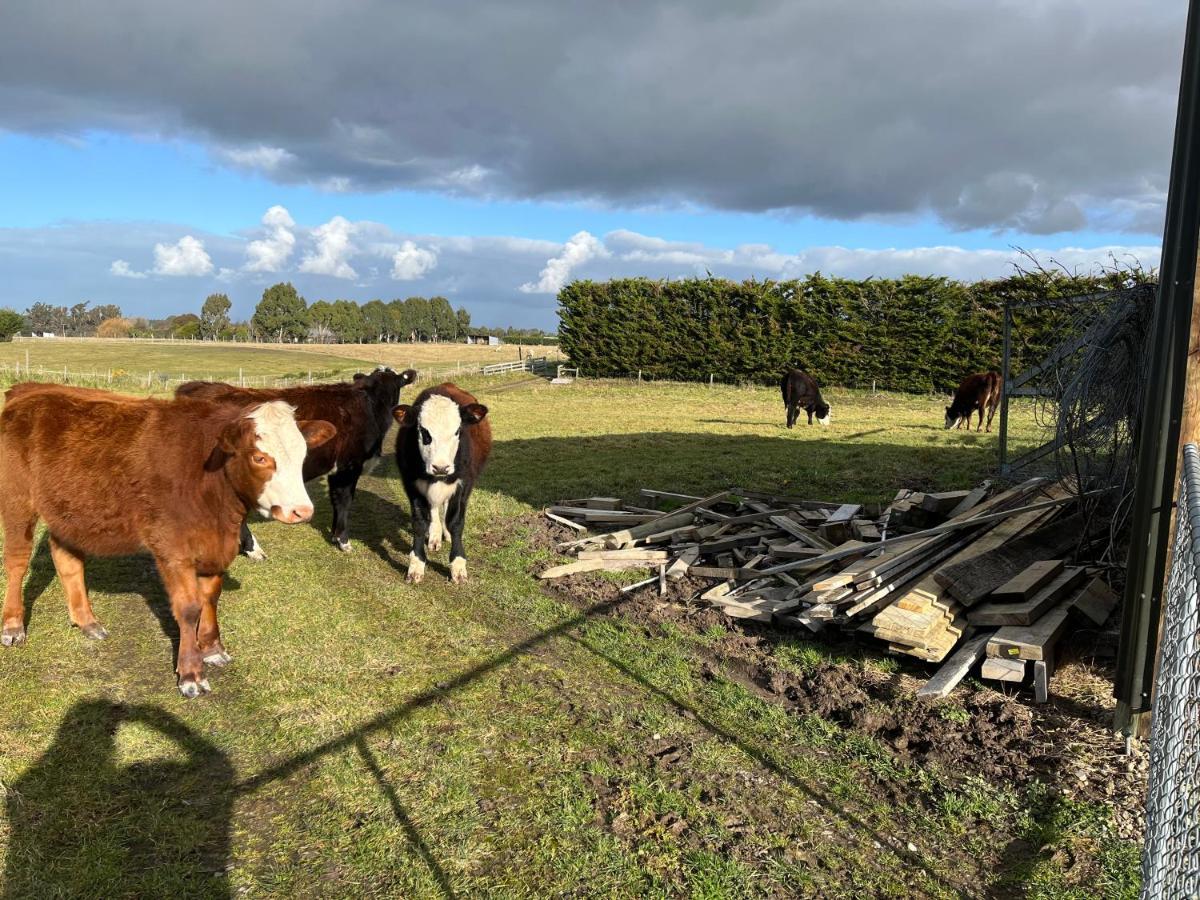 Ra-Ata Farm Bed and Breakfast Rangiora Buitenkant foto